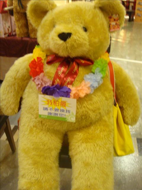 【記錄】2009泰迪熊博覽會